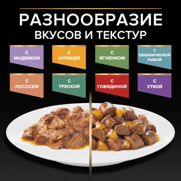 Влажный корм для кошек